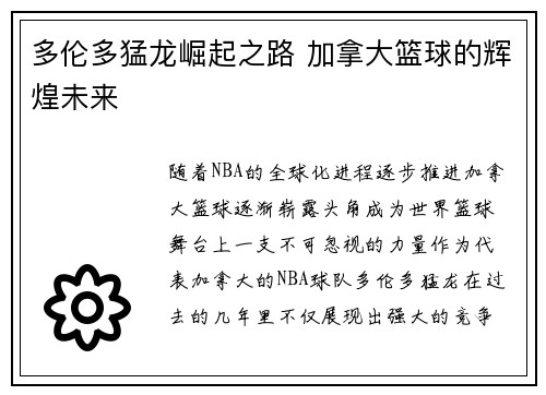 多伦多猛龙崛起之路 加拿大篮球的辉煌未来
